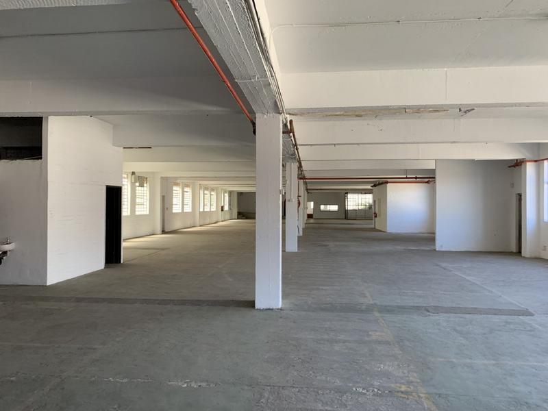 To Let commercial Property for Rent in Paarden Eiland Western Cape